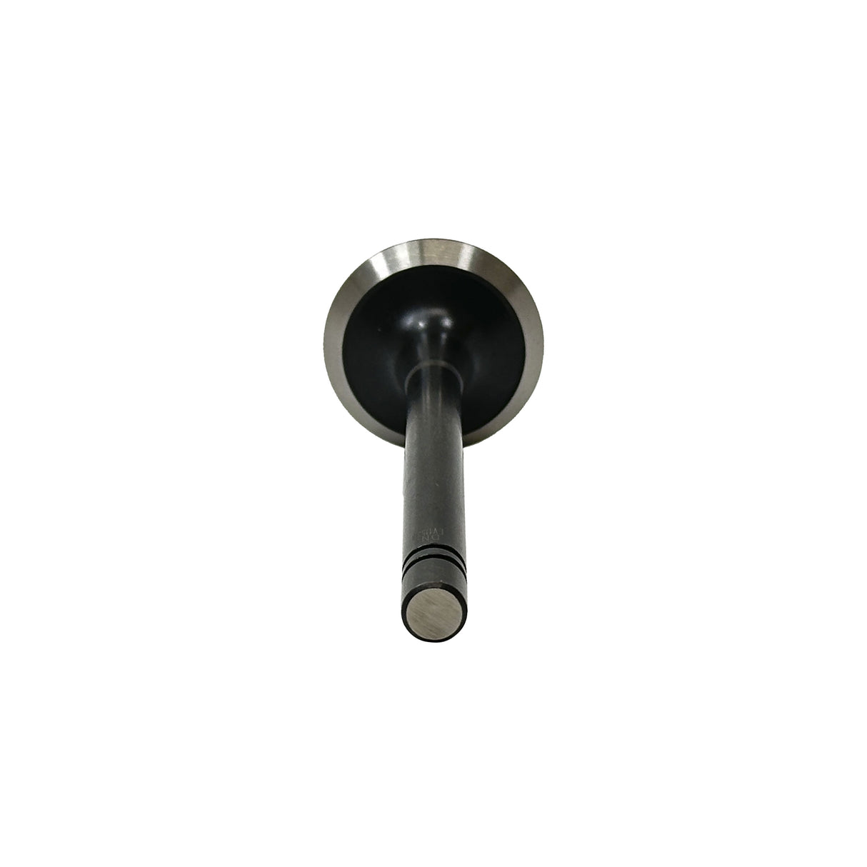 1989 Dodge B250 5.9L Exhaust Valve