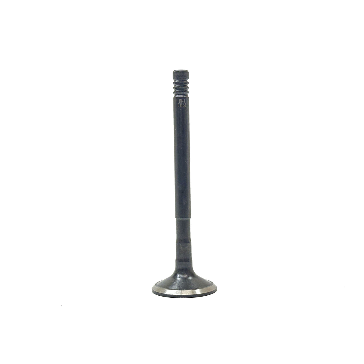 1983 Dodge Mirada 5.2L Exhaust Valve