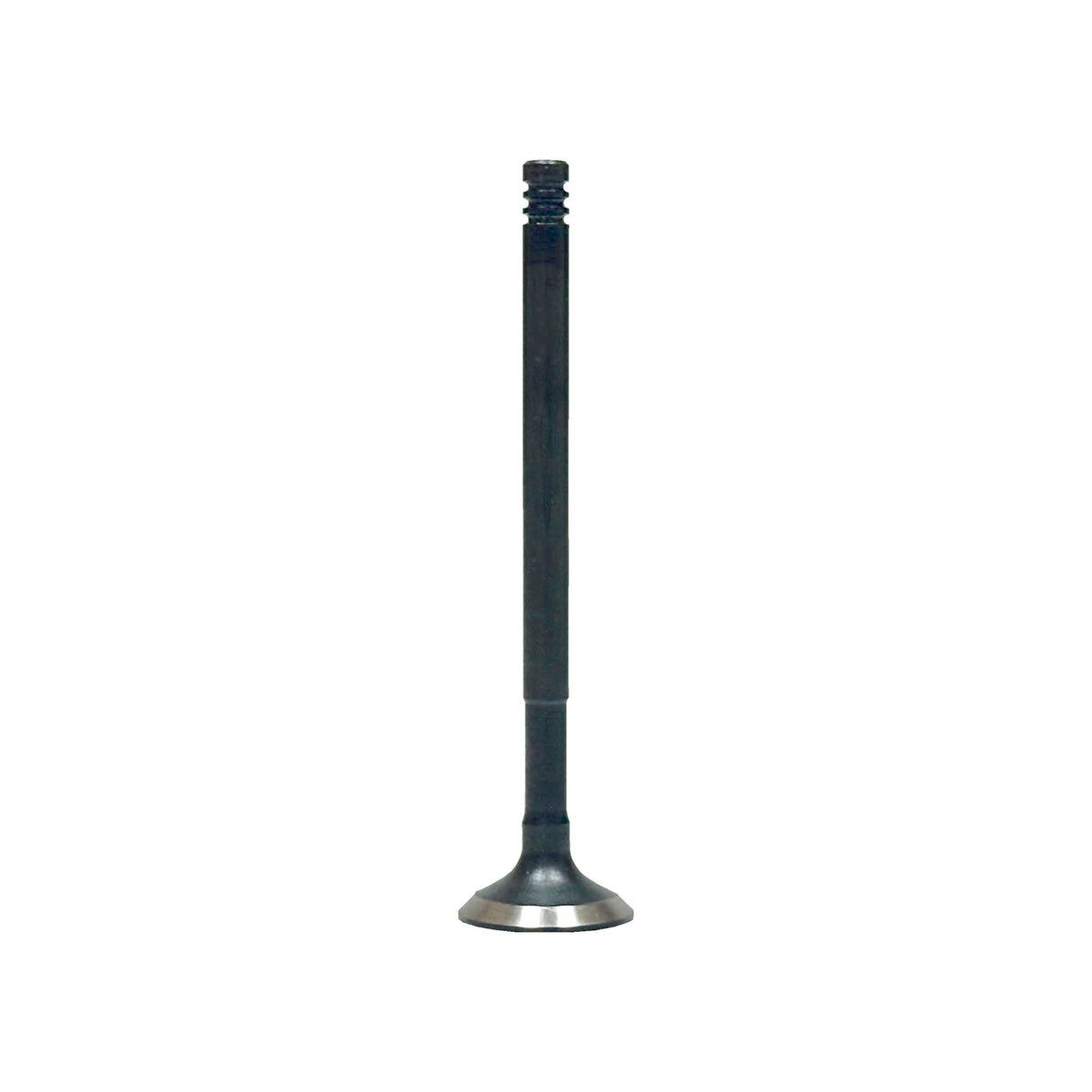 Exhaust Valve 2012-2017 Dodge,Fiat 1.4L
