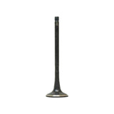 Exhaust Valve 2009-2017 Hyundai,Kia 4.6L-5.0L