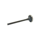 Exhaust Valve 2009-2017 Hyundai,Kia 4.6L-5.0L