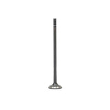 Exhaust Valve 2021-2022 Hyundai 1.6L