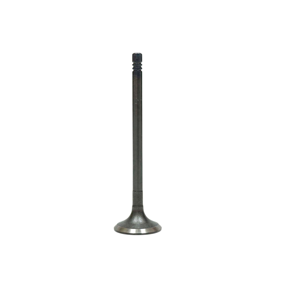 Exhaust Valve 2013-2015 Audi,Volkswagen 3.0L-4.0L