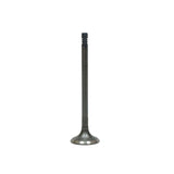 Exhaust Valve 2013-2015 Audi,Volkswagen 3.0L-4.0L