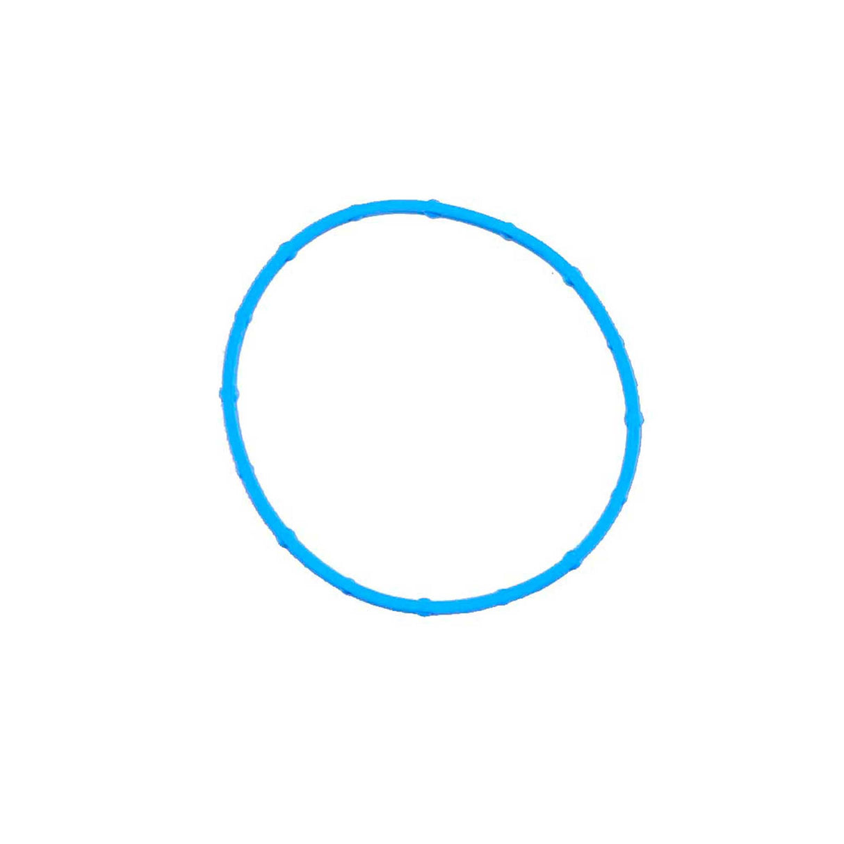 2017 Dodge Journey 2.4L Intake Manifold Gasket