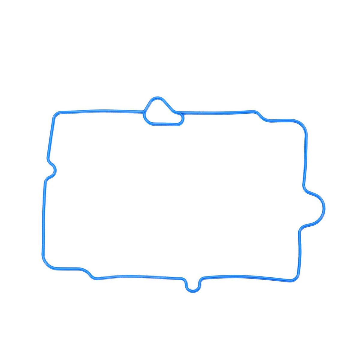 2002 Chevrolet Express 2500 5.0L Intake Manifold Gasket