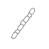 2016 Nissan Sentra 1.8L Intake Manifold Gasket