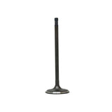 Intake Valve 2013-2022 Chrysler,Dodge,Fiat,Jeep,Ram 2.4L