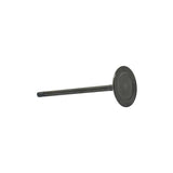 Intake Valve 2013-2022 Chrysler,Dodge,Fiat,Jeep,Ram 2.4L