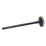 Intake Valve 2014-2018 Ram 3.0L