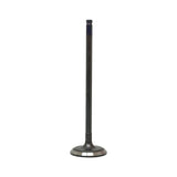 Intake Valve 2012-2022 Acura,Honda 1.8L-2.0L