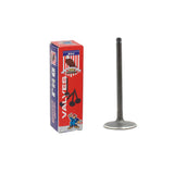 Intake Valve 2006-2011 Buick,Chevrolet,Pontiac,Saturn 3.5L-3.9L