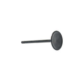 Intake Valve 2016-2022 Buick 3.6L