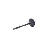 Intake Valve 2016-2022 Buick 3.6L