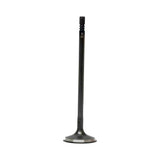 Intake Valve 2016-2019 Buick 1.6L