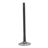 Intake Valve 2011-2014 Mazda 1.5L