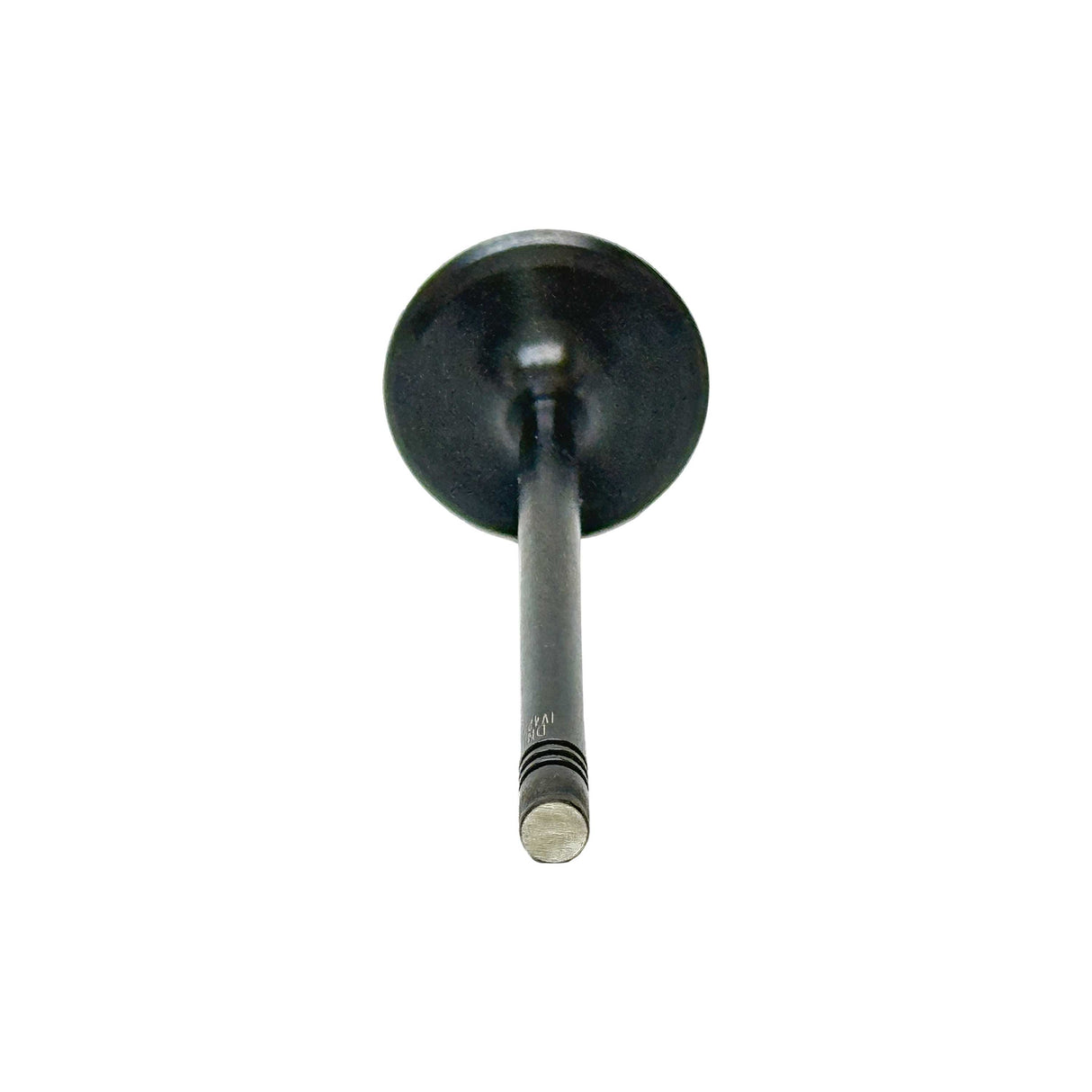 Intake Valve 2020-2022 Ford 1.5L