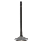 2010 Mercedes-Benz S400 3.5L Intake Valve