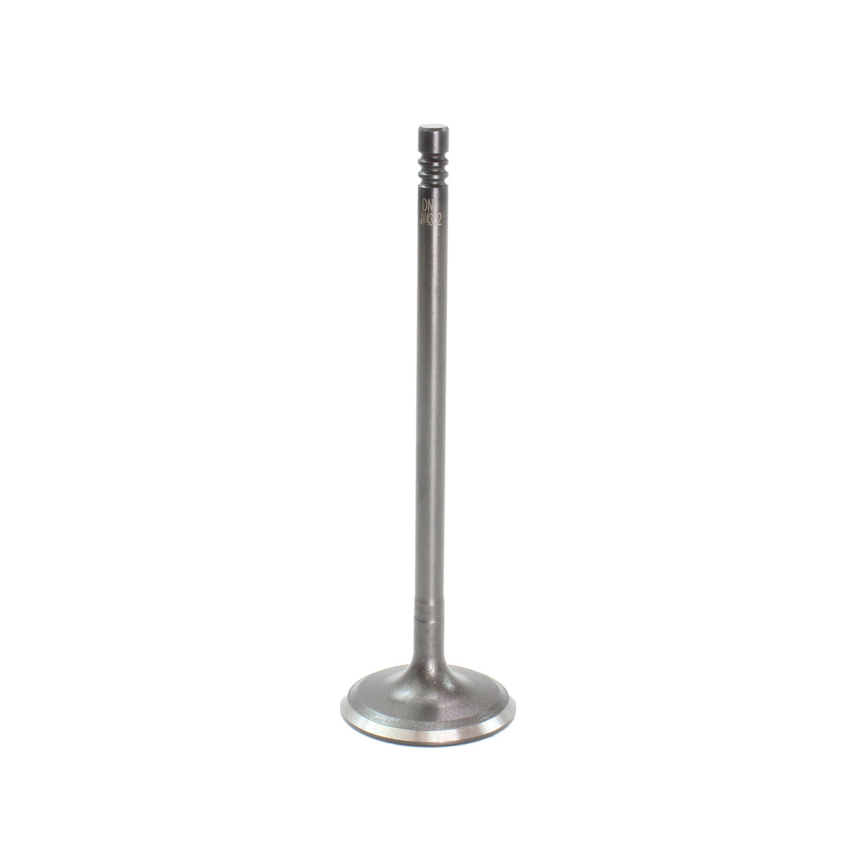 Intake Valve 2013-2019 Ford 1.5L-1.6L