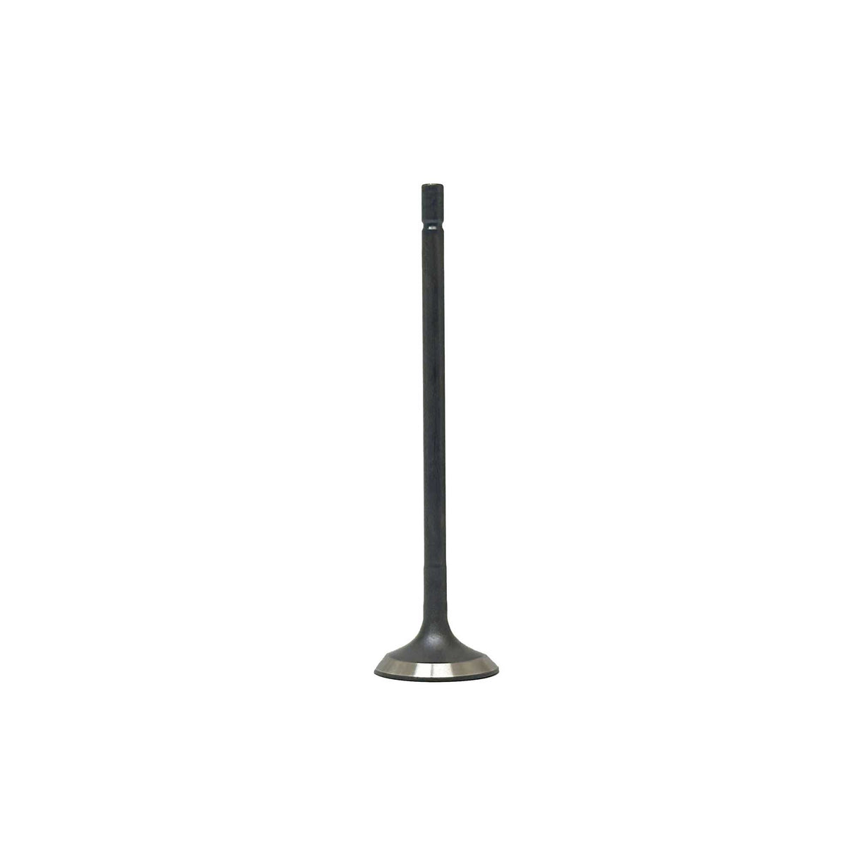 Intake Valve 2014-2019 Mazda 2.5L