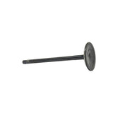 Intake Valve 2009-2017 Hyundai,Kia 4.6L-5.0L