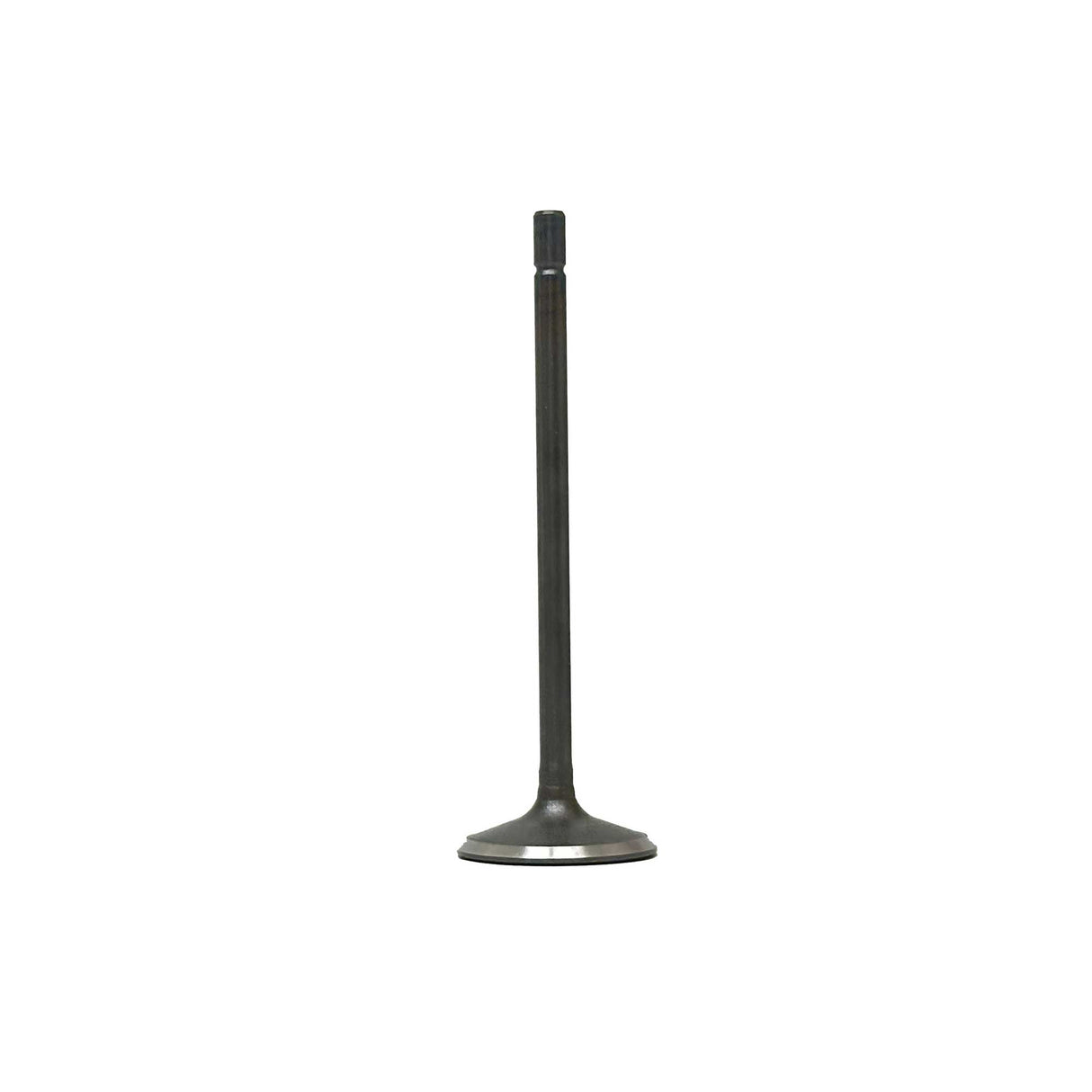 Intake Valve For 2019-2021 Mazda  DOHC
