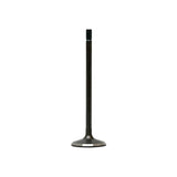 Intake Valve 2019-2021 Mazda 2.0L