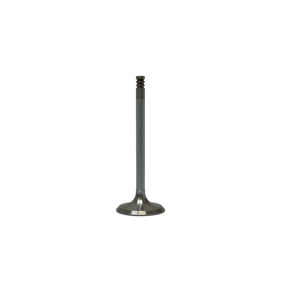 2004 Volkswagen Jetta 2.8L Intake Valve