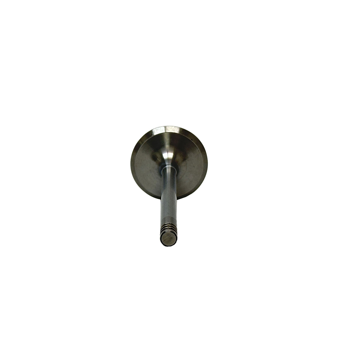 2003 Volkswagen Jetta 2.8L Intake Valve