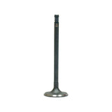 Intake Valve 1994-1995 BMW 3.0L