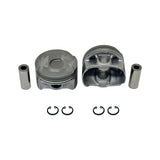 Standard size Complete Piston Set For 2016-2019 Chevrolet DOHC