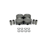 Piston Set (Oversizes Available)  2021-2022 Hyundai 1.6L