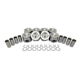 Standard size Complete Piston Set 2017-2020 Ford 6.7L