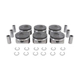 Piston and Ring Set 2012-2017 Buick, Cadillac, Chevrolet, GMC 3.6L