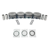 Piston and Ring Set 2016-2022 Chevrolet 1.4L