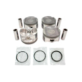 Piston and Ring Set 2012-2016 Nissan 1.6L