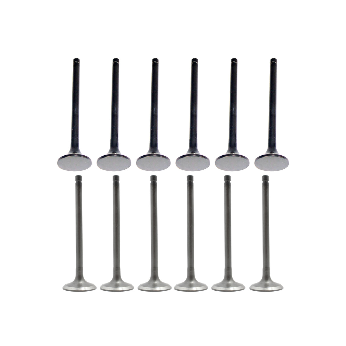 Exhaust Intake Valve Kit 1979-1980 Honda 1.8L