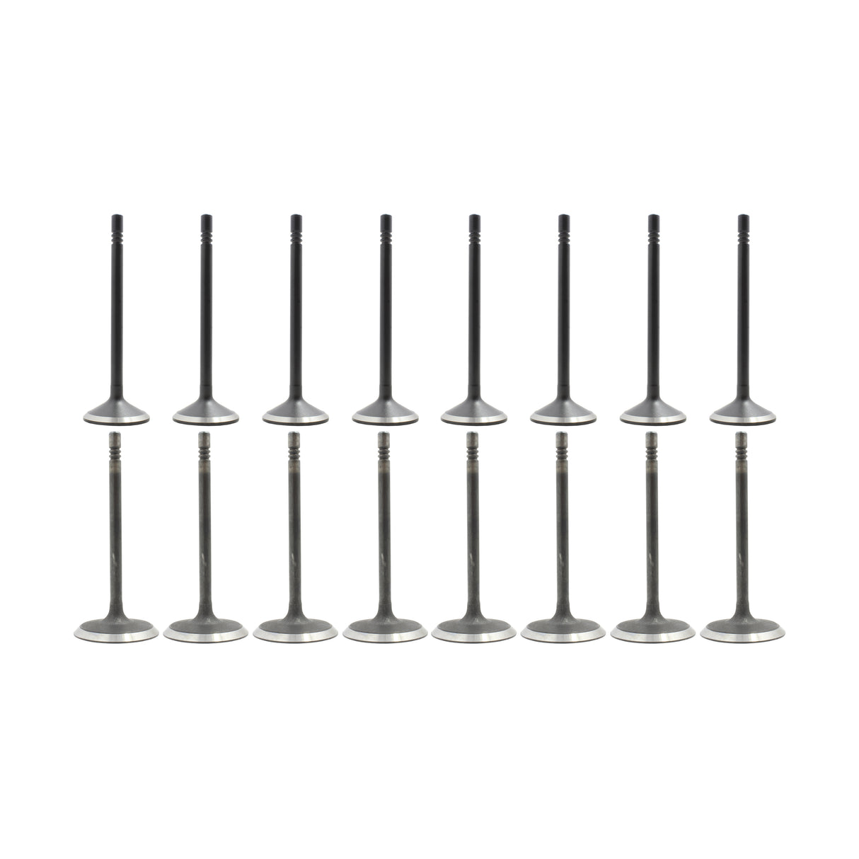 Exhaust Intake Valve Kit 2002-2007 Dodge 4.7L