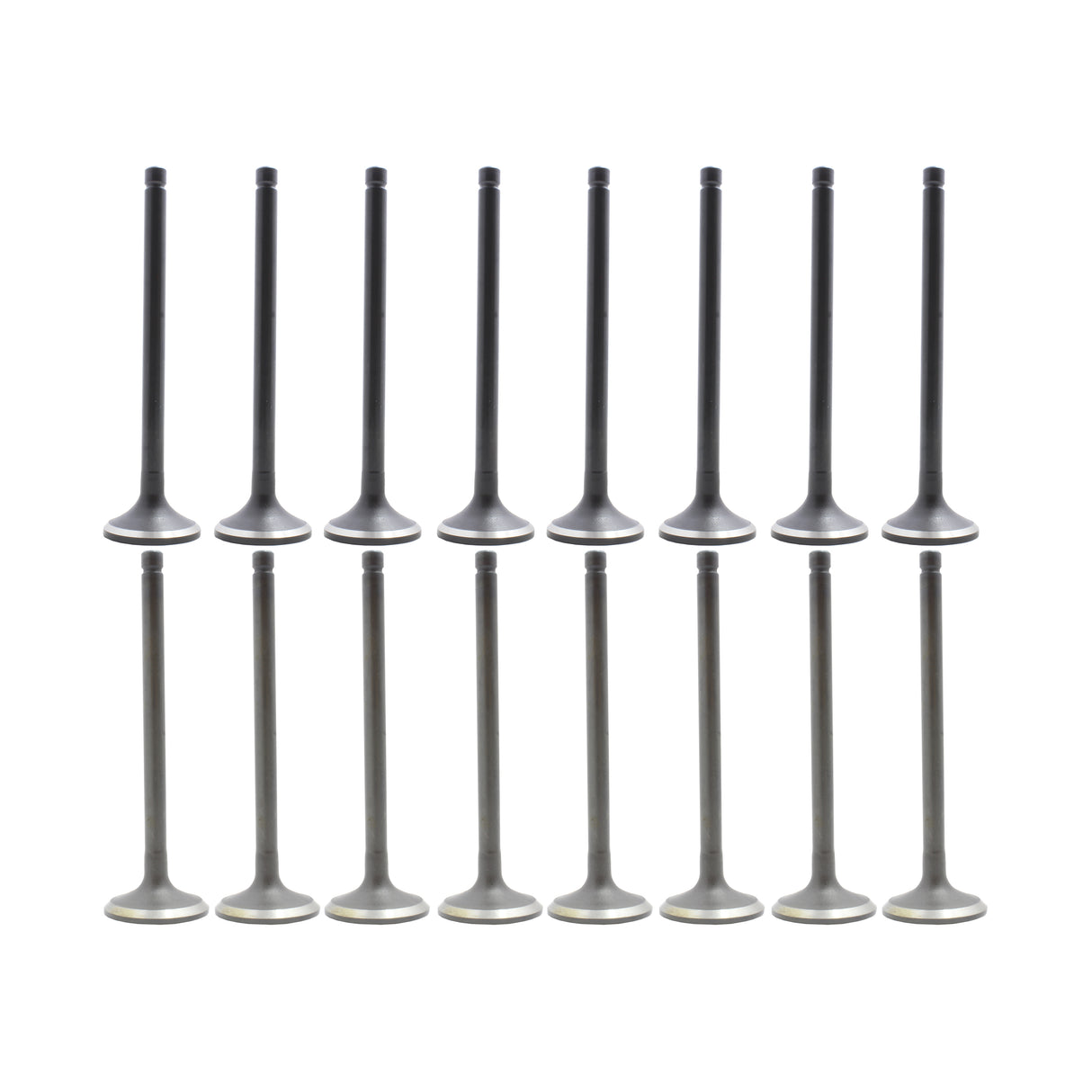 Exhaust Intake Valve Kit 1990-1995 Acura 1.8L