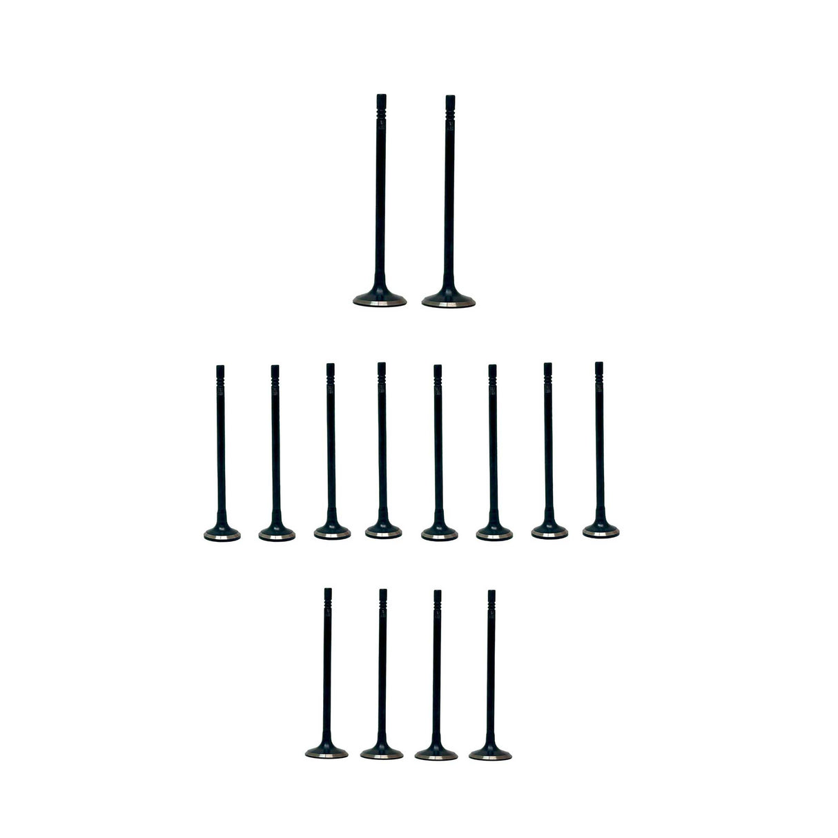 Exhaust Intake Valve Kit 2016-2019 Chevrolet 1.5L