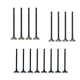 Exhaust / Intake Valve Kit 2016-2022 Buick 1.4L-1.5L