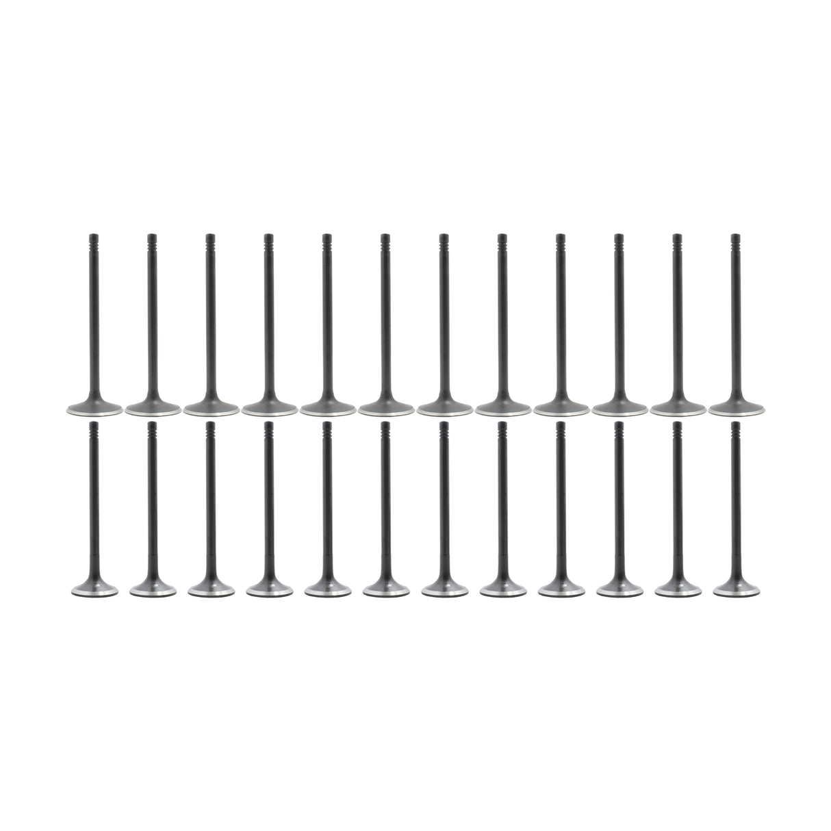 Exhaust Intake Valve Kit 2009-2018 Audi 3.0L