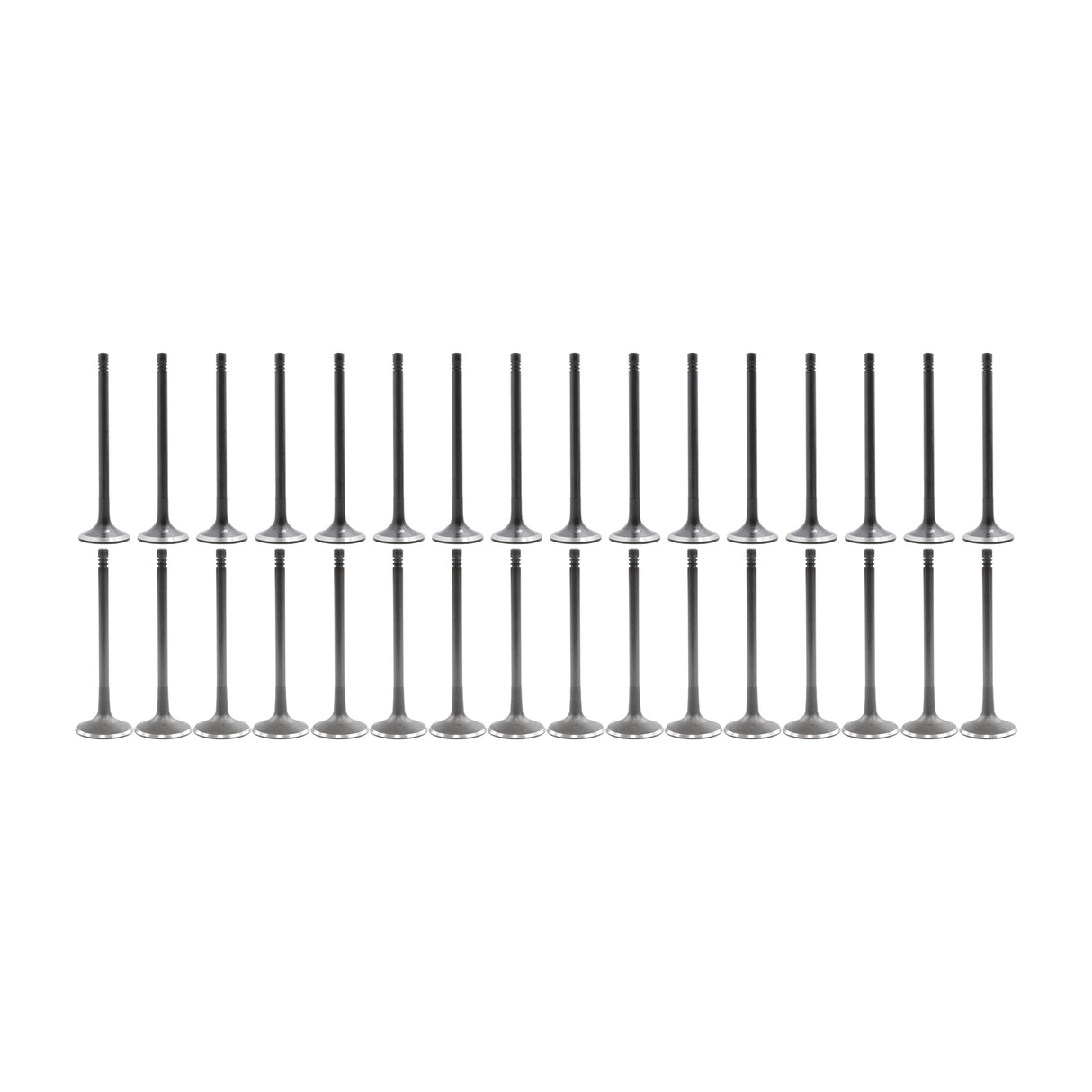 Exhaust Intake Valve Kit 2007-2010 Audi 4.2L