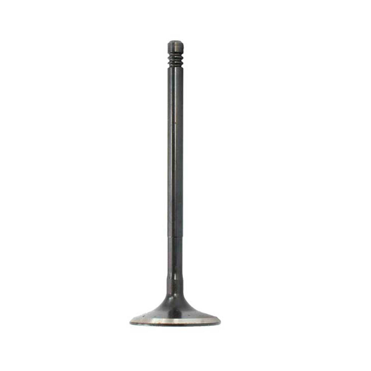 Exhaust / Intake Valve Kit 2012-2016 Audi 6.3L