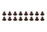 Valve Stem Oil Seal Set 2013-2022 Buick,Cadillac,Chevrolet,GMC 2.0L-2.5L