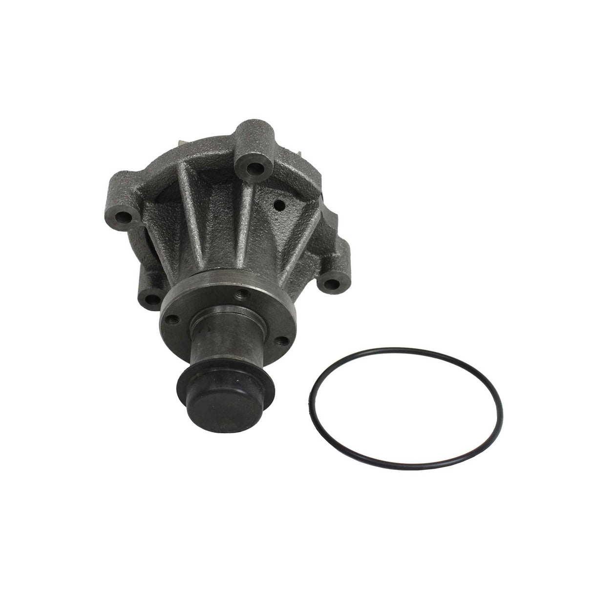 Timing Chain Kit with Water Pump 1999-2000 Ford 5.4L