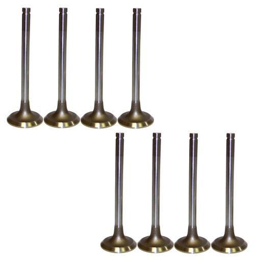 90-93 Chevrolet GMC 2.5L Intake and Exhaust Valve Set