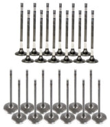 11-16 Chrysler Dodge Ram 3.6L Intake and Exhaust Valve Set