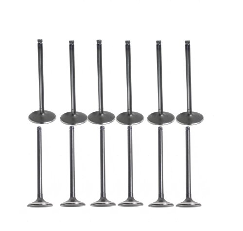 14-17 Chevrolet GMC 4.3L-5.3L Intake and Exhaust Valve Set