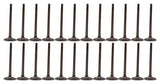 07-09 Suzuki 3.6L Intake and Exhaust Valve Set
